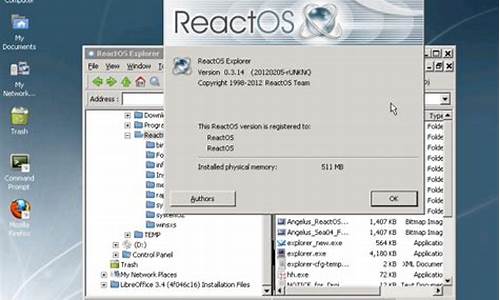 reactos 0.3.16 源码